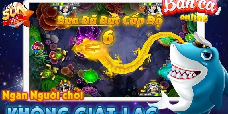 Khởi đầu hành trình săn rồng